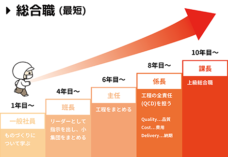 総合職のキャリアパス